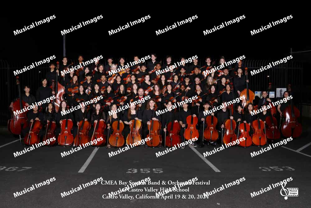 Musical Images